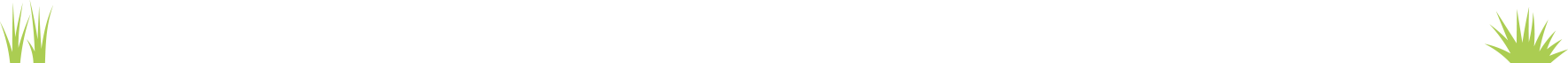 cayircimenpng